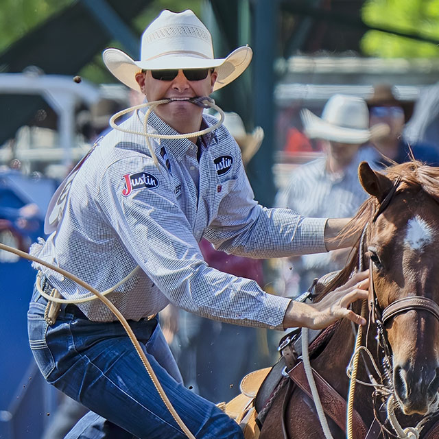 Chet Weitz is wearing a straw hat and dismounting his brown horse with a piggin string in his mouth. 